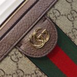 Replica Gucci Ophidia GG Mini Shoulder Bag 602576 Brown Leather Trim 7